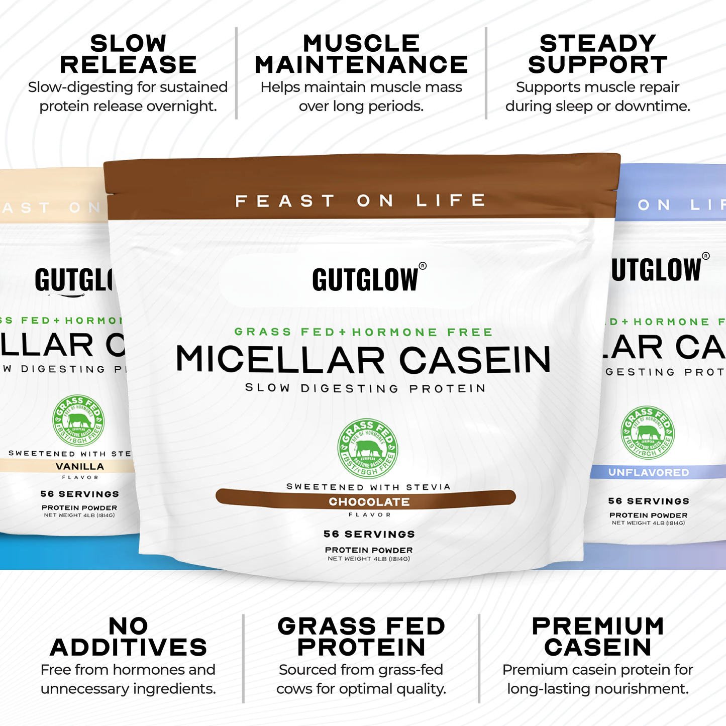 Gut Glow Micellar Casein Protein