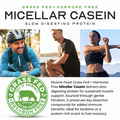 Gut Glow Micellar Casein Protein